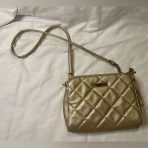 Aldo Gold Crossbody